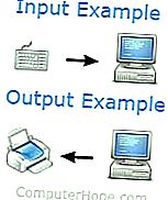 Input / output